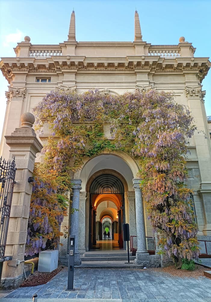 Politecnico di Milano