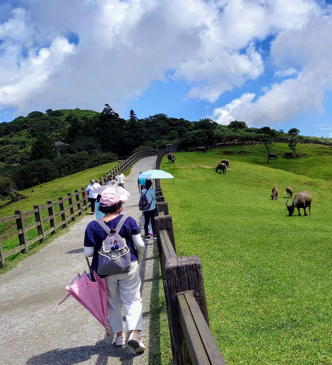 Parque Nacional de Yangmingshan