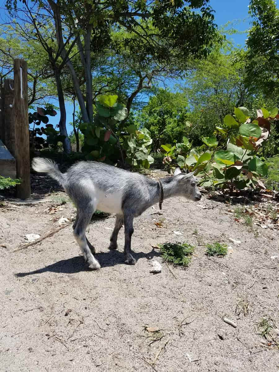 Culebra, Puerto Rico