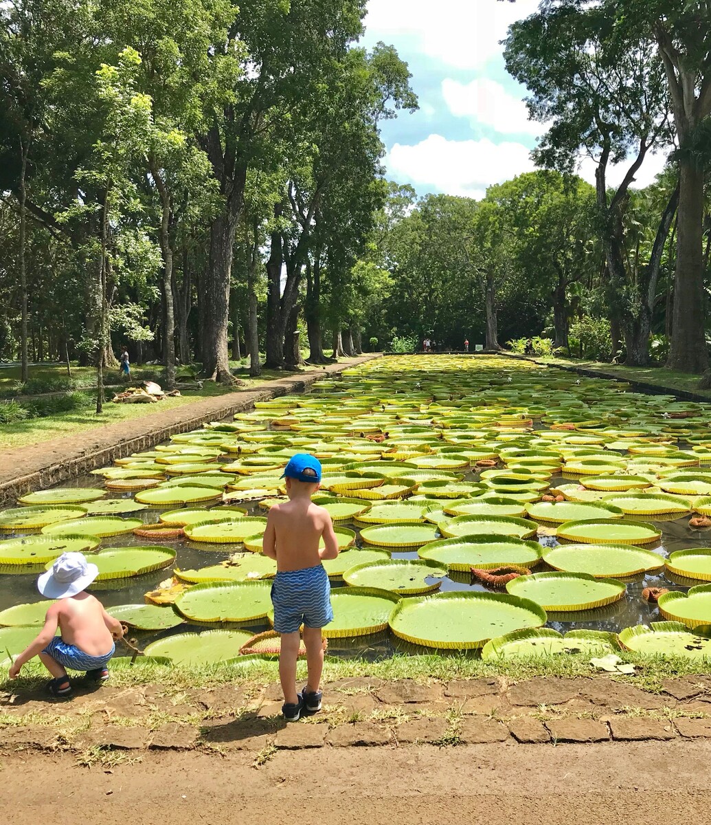 Jardín Botánico de Pamplemousses