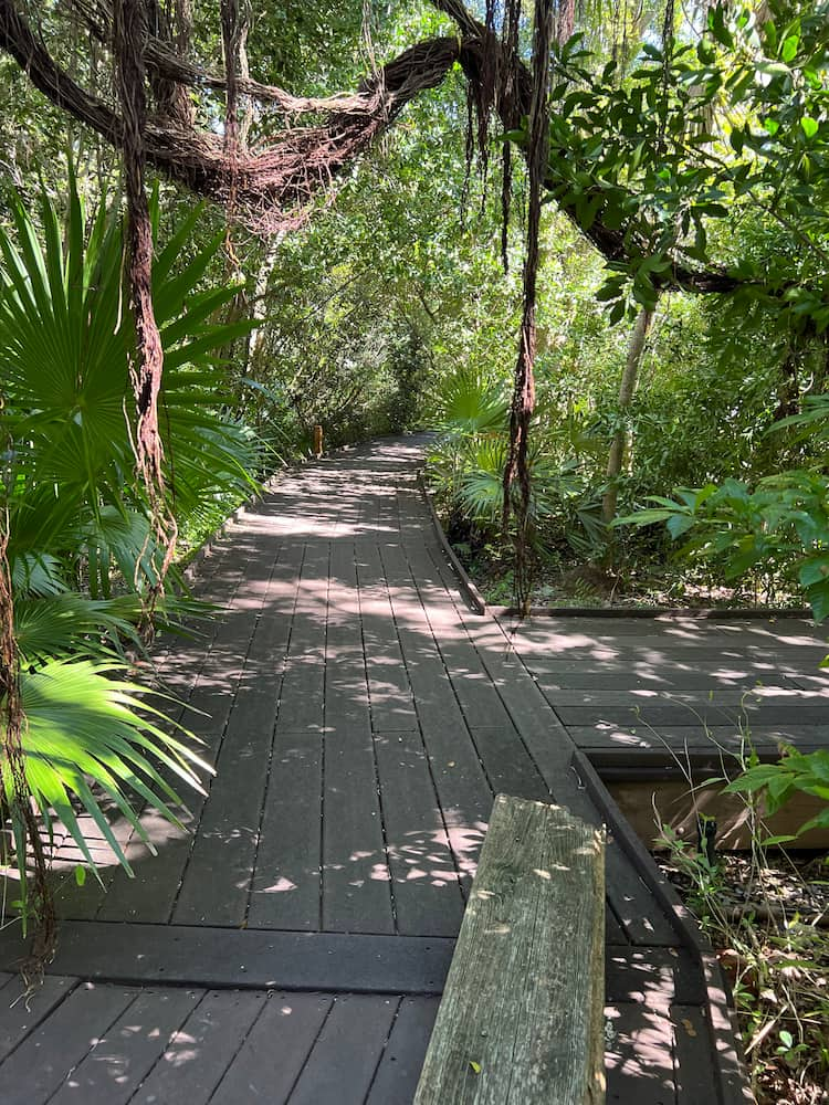 Bosque Tropical y Jardín Botánico de Cayo Hueso