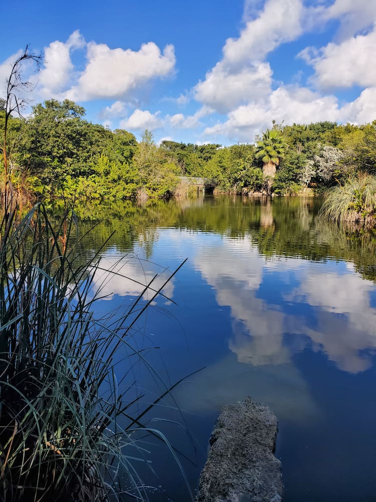 Bosque Tropical y Jardín Botánico de Cayo Hueso