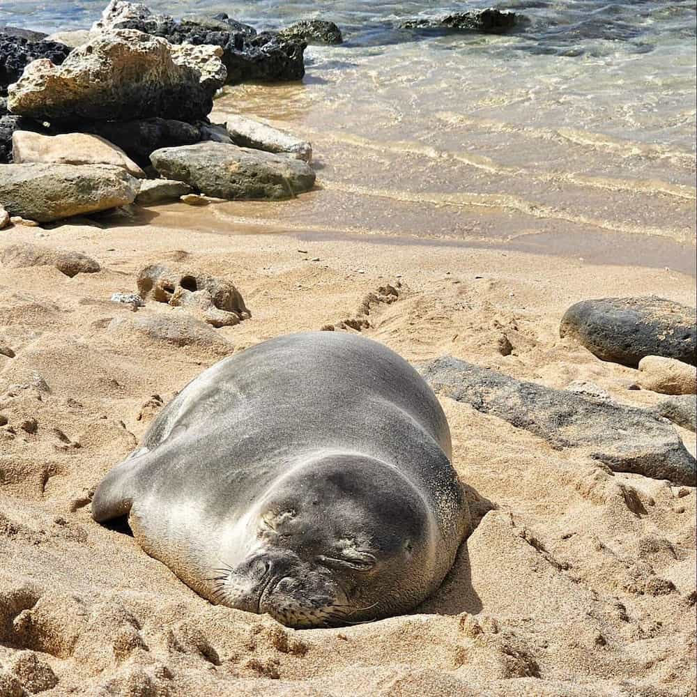 Oahu, Hawai