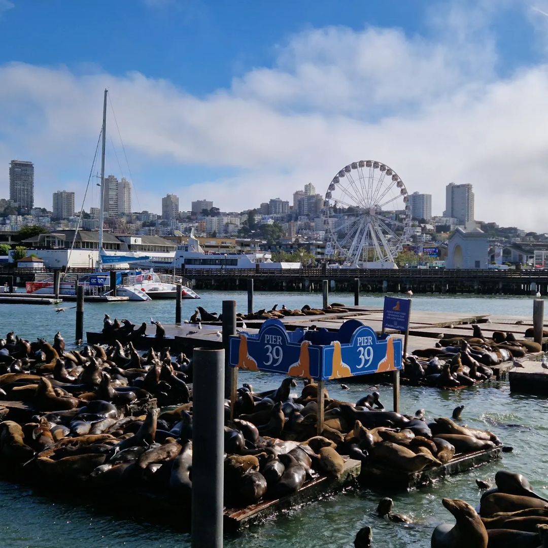 Pier 39