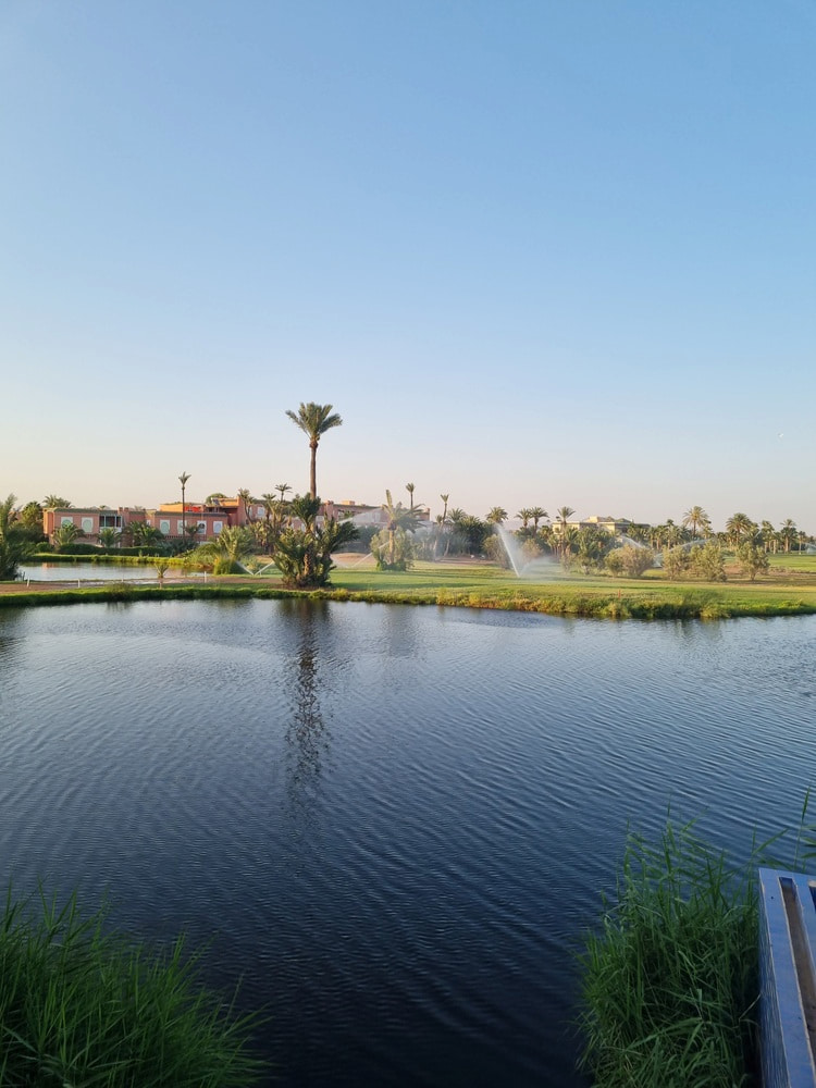 Palmeraie, Marrakech