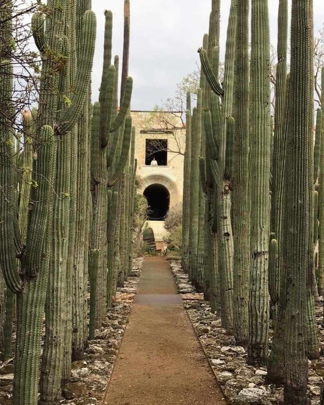 Ethnobotanical Garden, Oaxaca