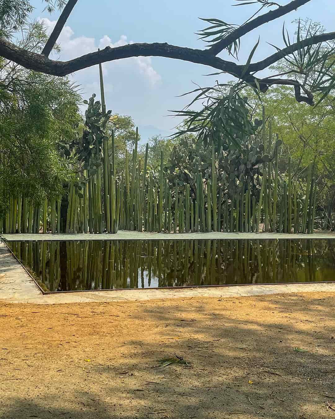 Ethnobotanical Garden, Oaxaca