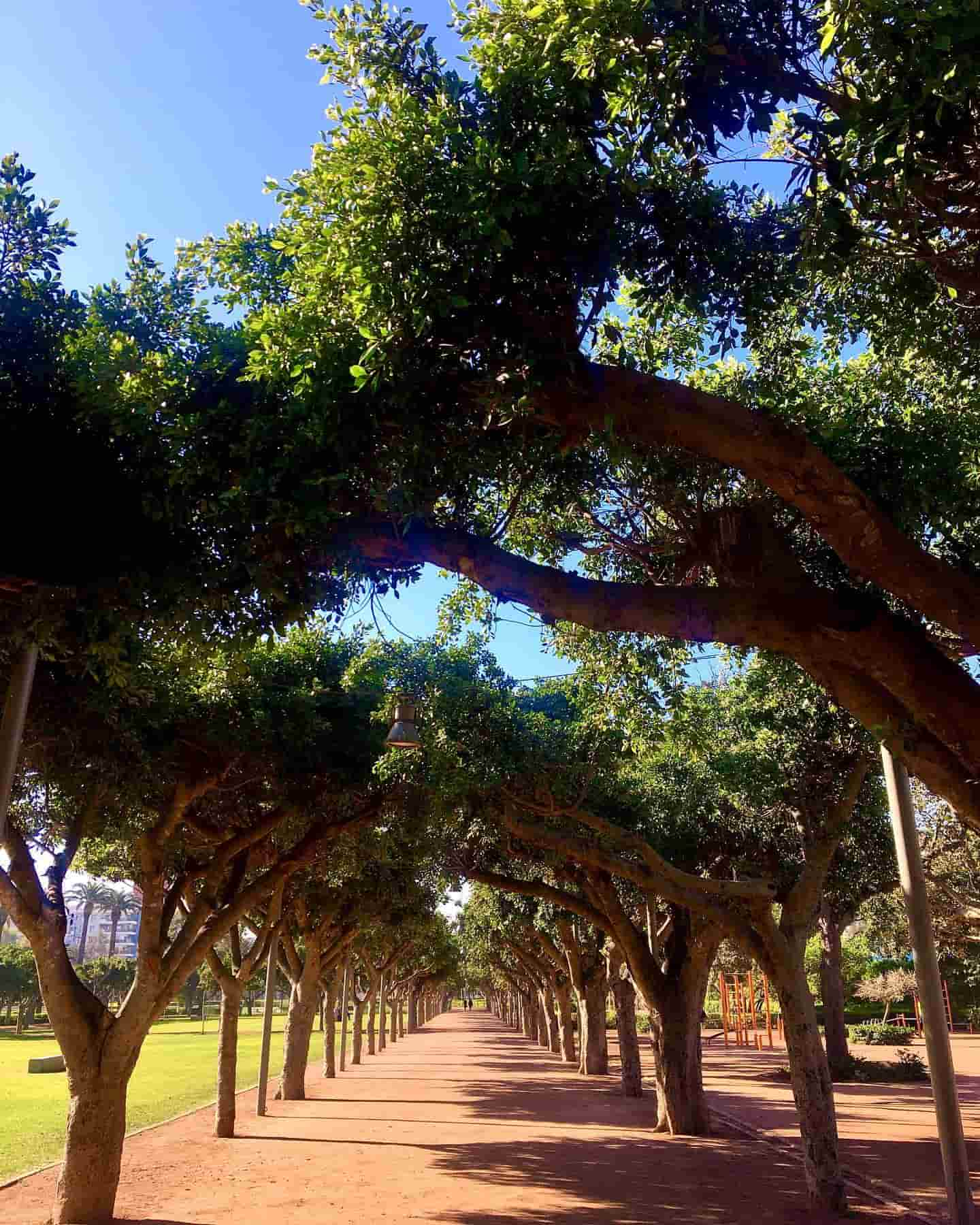 Parc De La lique arabe, Casablanca