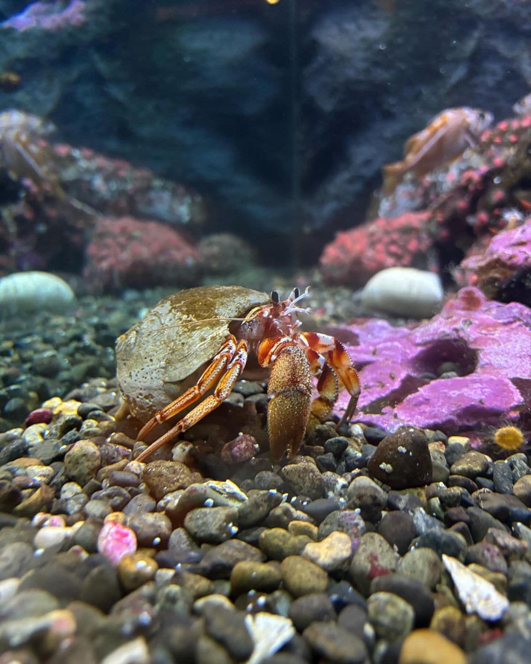 Seattle Aquarium